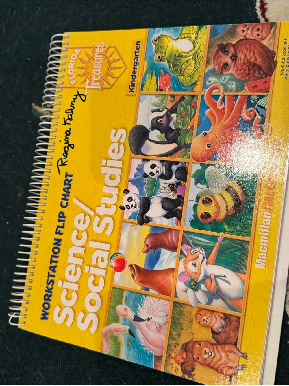 Educational Children’s Book Set - Multicolor